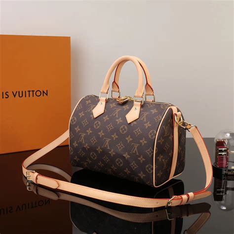 louis vuitton canvas speedy 25|louis vuitton speedy 25 used.